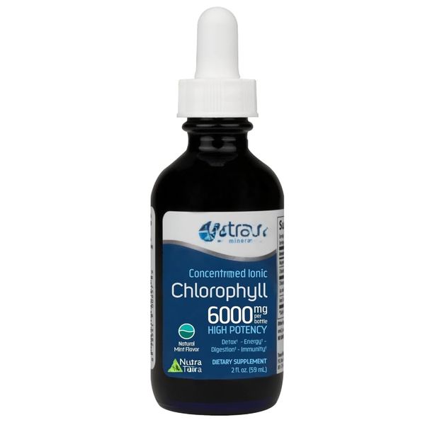 Concentrated Ionic Chlorophyll 6000 mg, Mint Flavour, 60 ml