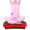 Vibration Machine Exercise Platform Fitness Whole Body Vibration Plate Trainer
