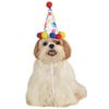 Rubie's Pet Birthday Hat, Small to Medium, Boy Paw Print