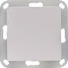 OPUS® 55 blind cover with plastic carrying ring, colour: polar white.
