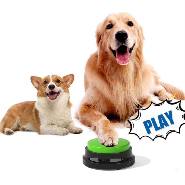 Recordable Dog Training Buttons Pet Talking Toys Pet Interac