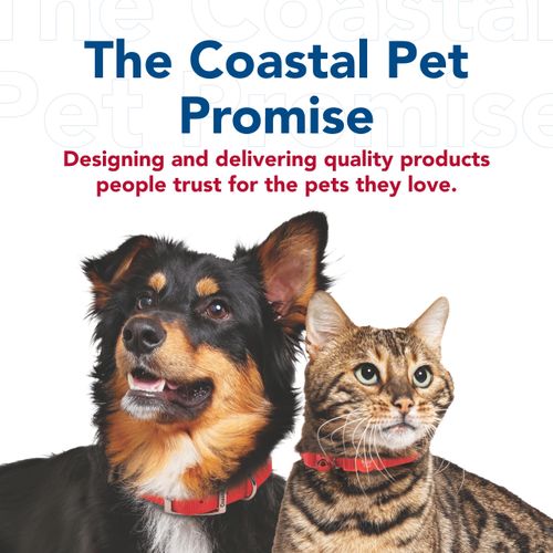 Coastal - Pro Reflective Dog Leash - 6 Foot Dog Leash with D-Ring - Bright Orange with Grey - 3/4” x 6’