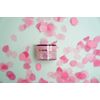 Erasuchin Hakasakura E-Hasakura Moisture Gel (Gel-shaped Beauty Solution)
