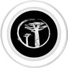 African Baobab Monkey Bread Tree PopSockets PopGrip for MagSafe