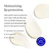 Supergoop! PLAY Lip Shield SPF 30 with Mint - Pack of 2 - Moisturizing Lip Balm for Dry Cracked Lips - Reef-Friendly, Broad Spectrum UV Protection