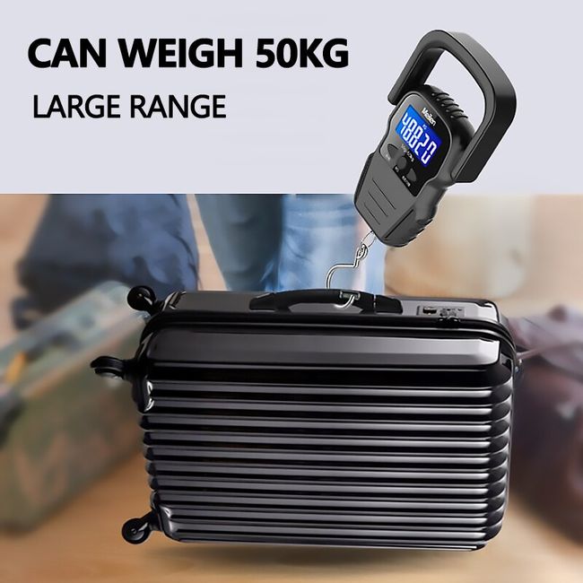 What is the how much is where can I buy a luggage crane scale