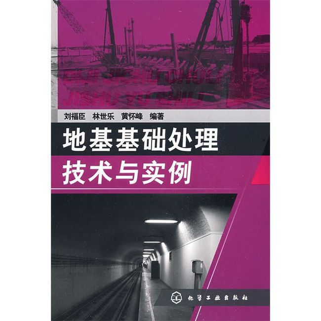 地基基础处理技术与实例 刘福臣,林世乐,黄怀峰 编著 化学工业出版社【正版书】