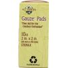All Terrain Gauze Pads,2X2, 10 CT