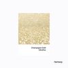 Hemway | Polyurethane & Epoxy Glitter [Champagne,100g]