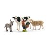 Schleich 42385 - Farm World Starter Set,Black