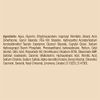 Dove DermaSpa Summer Revived Medium to Dark Gradual Self-Tan Body Lotion 200 ml