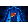 anti inflammatory pill - LIVER COMPLEX 1200MG - milk thistle capsules - 1 Bottle