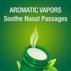 Mentholatum Ointment Topical Analgesic Aromatic Vapors