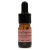 Aromatherapy Essential Oil Set - Starter Pack Includes 12X5ml Oils and 2Xdroppers