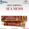 24 Pack Wild Craft Sea Moss Toothpaste Essential Palace Fluoride free Vege Base