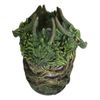 Ebros Greenman Dryad Tree Hydra 4 Headed Dragon Aroma Oil Diffuser W/ LED Lights