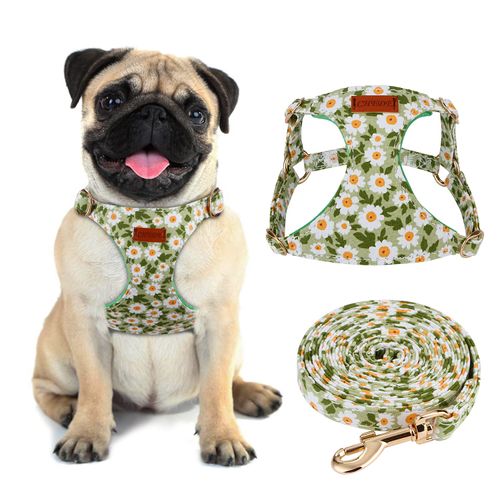 CHEDE No Pull Floral Pattern Dog Harness - Lightweight and Soft, Adjustable Small Dog Harness and Leash Set, with Dog Leash, Suitable for Puppy Small and Medium-Sized Dog (M, Green Daisy)