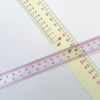 BUNKA (Bunka Gakuen) Transparent Free-Scale Ruler