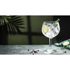 JOCHEN SCHWEIZER Gift Voucher: Gin Tasting Hamburg (7 Premium Gins)