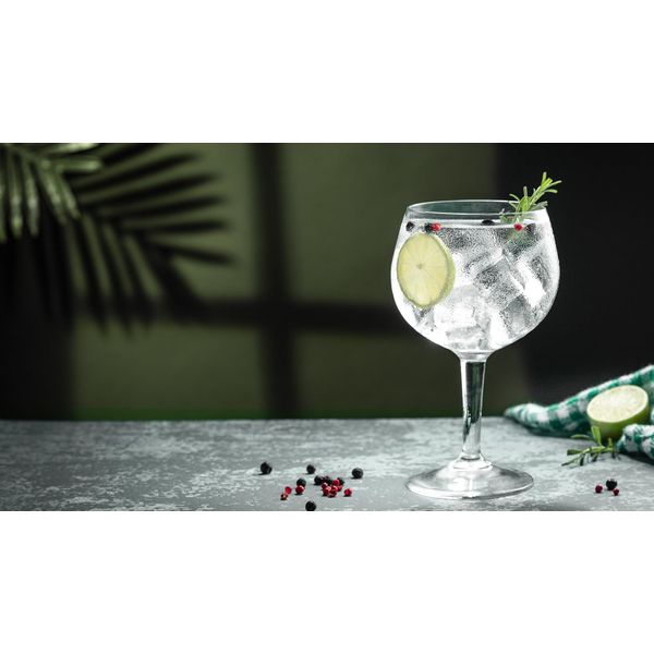 JOCHEN SCHWEIZER Gift Voucher: Gin Tasting Hamburg (7 Premium Gins)