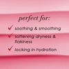 Dermelect Smooth & Supple Lip Mask Melt Anti Aging Lip Balm with Castor Oil, Jojoba, Abyssinian, Evening Primrose Oil, Hydrating & Replenishing for Dryness Chapped Lips Flakiness Cracked Skin 0.5 oz