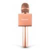Gigastone Bluetooth V5.0 Karaoke Microphone Wireless Portable Handheld Speaker