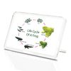 Classic Rectangle Magnet with Stand - Life Cycle Frog - Fridge Locker Office Whiteboard Toolbox #60898
