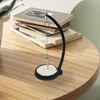 Mad Monkey Sand Pendulum - The Physics Work of Art for Your Office