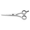 3 Claveles Azbache 6" Hairdressing Scissors