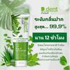 10x D.Dent herbal toothpaste Peppermint Formula fluoride suppress bad breath