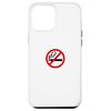 iPhone 15 Plus Distress No Smoking Smartphone Case