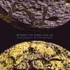 Future Sequence: Live At The Fidelitorium (Cd+Dvd)