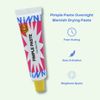 iNNBEAUTY PROJECT Pimple Paste Overnight Blemish Drying Paste 0.2 oz/ 8 mL