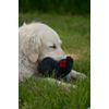 Petface Squeaky Pheasant Plush Dog Toy
