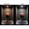 10-pack Pure white 12V AC/DC for Malibu/All landscape lighting with T10 socket.