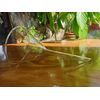 Funnel, 15 cm Diameter (Pack of 2)