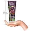 Desert Essence Italian Red Grape Shampoo 235 ml