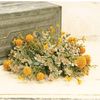 FALL Mustard Yellow Woolyhead Eucalyptus 1/2 Sphere~Artificial Greenery Flower 