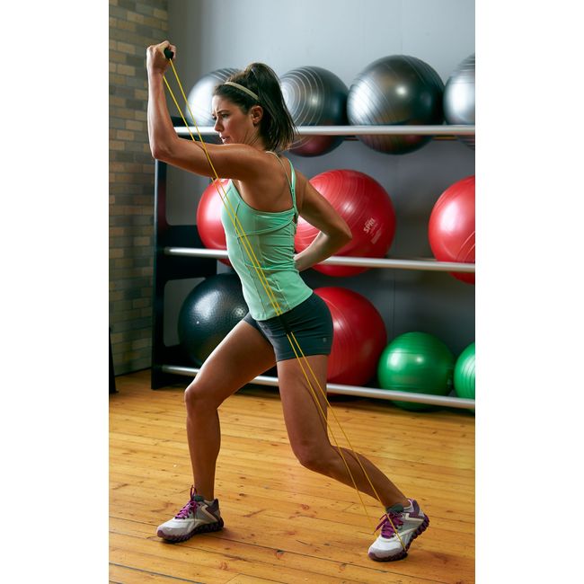 Spri thigh toner online exercises