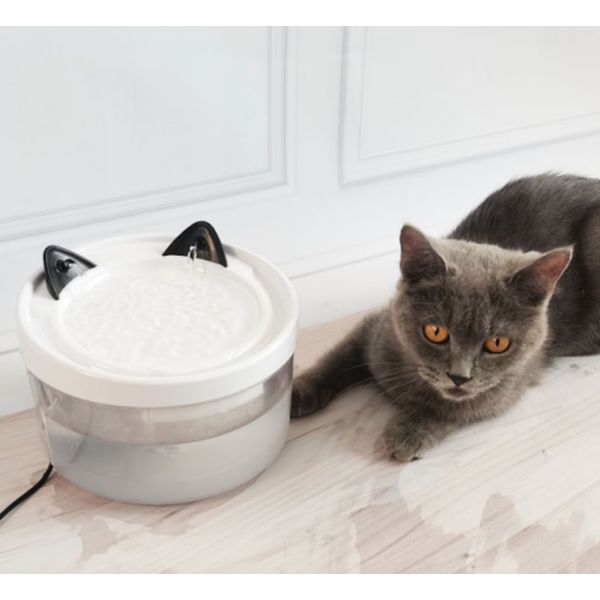 Double Outlet Water Fountain for Pets