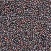 Organic Juniper Berries – Elevate Your Wellness & Spirituality