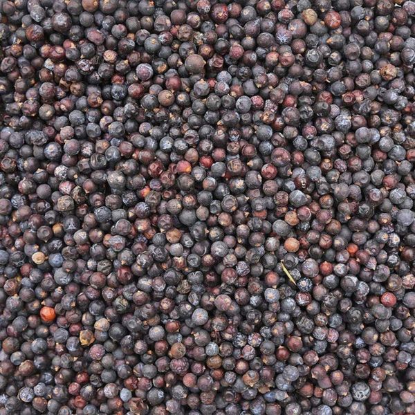 Organic Juniper Berries – Elevate Your Wellness & Spirituality