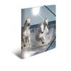 HERMA Elastic Folder Animals with Horses Motif, A3, Glossy Plastic, with Inner Print, 1 Span Folder