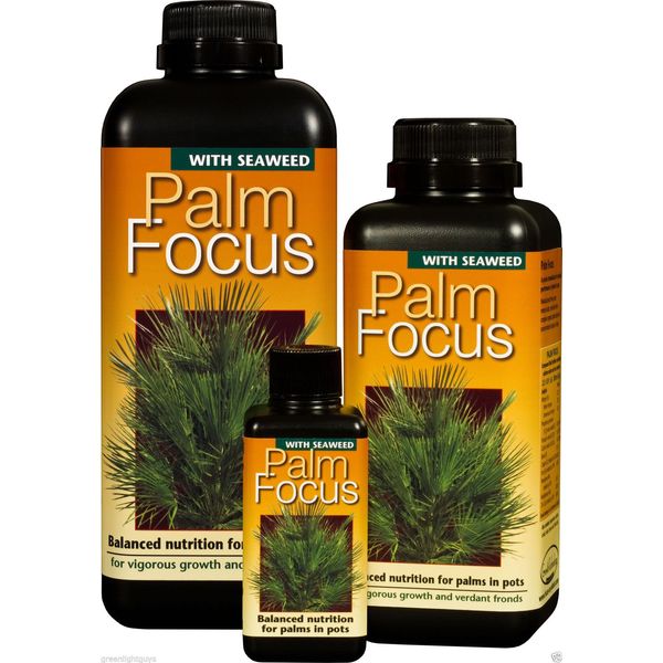 palm focus 100ml growth technology
