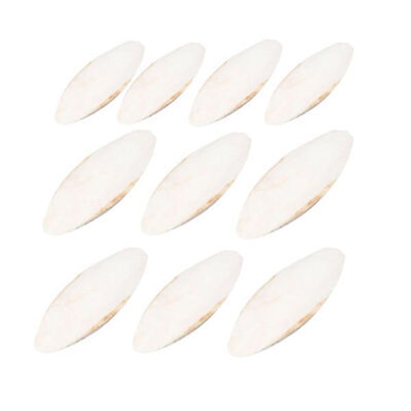 10pcs Bird Cuttlebone Cuttlefish Bone Sepia Cuttle Fish Pet Bird Food Calcium