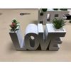 The Word Vase ~ Plant "Love"