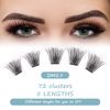 Cluster Lashes SISILILY Individual Lashes 72 Lash Clusters C D Curl Individual Cluster eyelashes DIY Lash Extensions Reusable False Eyelashes 3D Wispy Fluffy Lashes 10-16mm Length (DM17-mix)