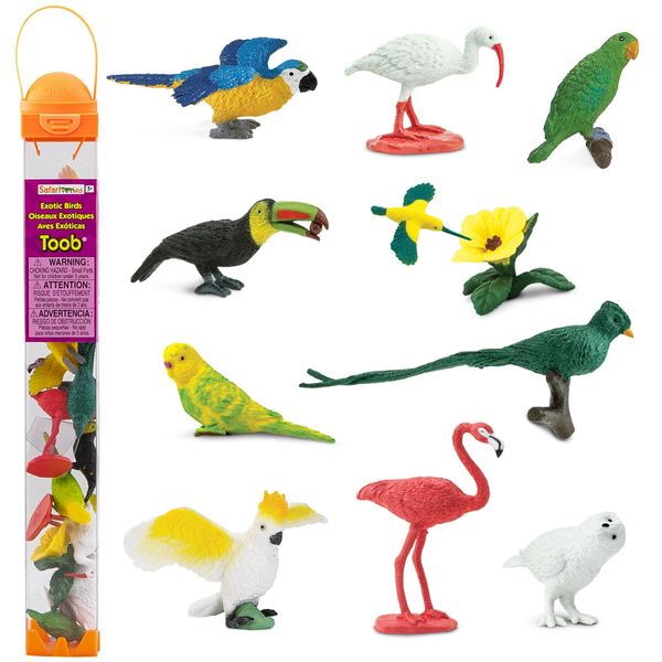 Safari Ltd. Exotic Birds TOOB - 10 Figurines: Parakeet, Quetzal, Macaw, Hummingbird, Toucan, Cockatoo, Flamingo, Snowy Owl, Parrot - Educational Toy Figures For Boys, Girls & Kids Ages 3+