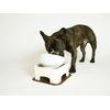 Hario Dog Table Chocolate Brown