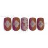 Sha-Nail Pro Translucent -Flower-